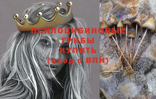 крисы Алзамай