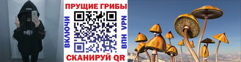 купить наркотик нарко площадка состав Галлюциногенные грибы GOLDEN TEACHER Мантурово