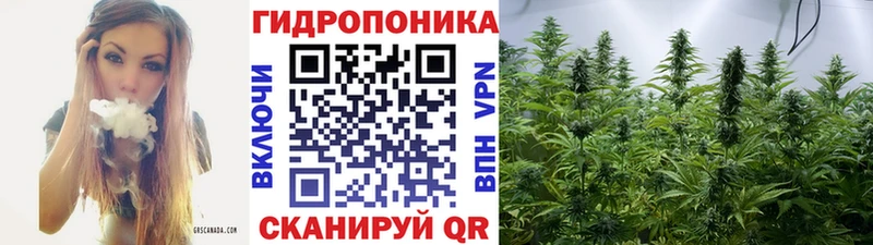 цены наркотик  Мантурово  hydra   Канабис семена 